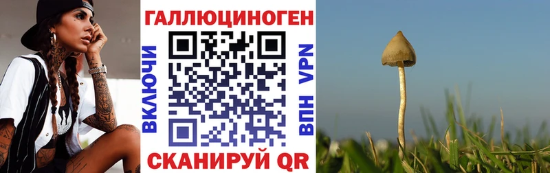 как найти закладки  Домодедово  Галлюциногенные грибы MAGIC MUSHROOMS 